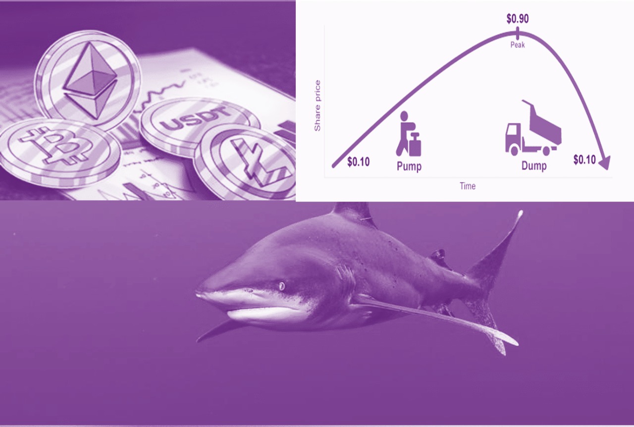 cá mập trong thị trường tiền mã hoá