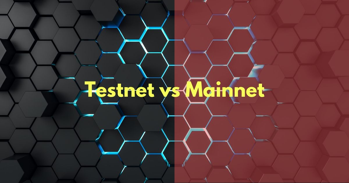 Mainnet & Testnet là gì?